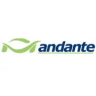 Andante