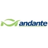 Andante
